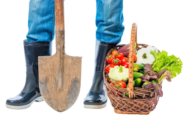 Pieds d'un agriculteur en bottes en caoutchouc et un panier de légumes sur un — Photo