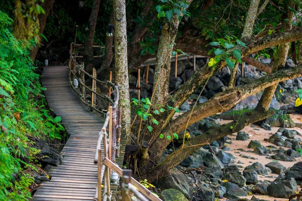 A footpath in tropical places of Thailand, Krabi — Stock Photo, Image