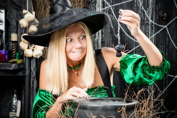 La sorcière dans un chapeau tient une araignée sur un pot de potions — Photo
