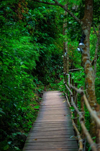 Passo a passo nas montanhas de Krabi Tailândia — Fotografia de Stock