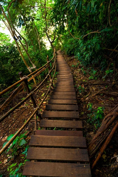 Um caminho de tábuas de madeira da montanha — Fotografia de Stock