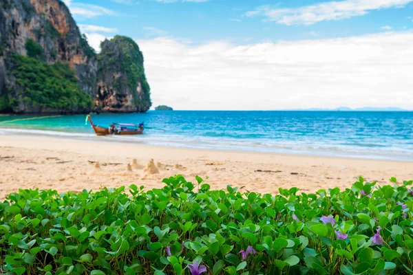 Vackra tropiska stranden blommor växa på stranden i Thailand — Stockfoto