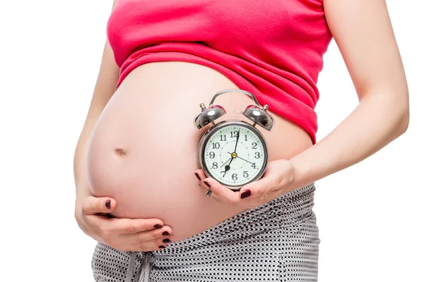 Grote zwangere buik en wekker close-up geïsoleerd op witte bac — Stockfoto