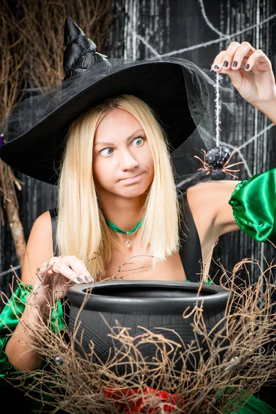 Jeune sorcière expérimentée jette dans le chaudron araignée — Photo