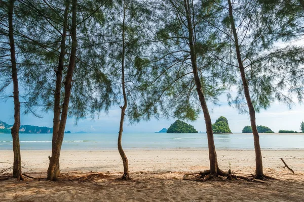Ağaçlar ve deniz manzaralı ve kayalıklarla güzel plaj güzel lan — Stok fotoğraf