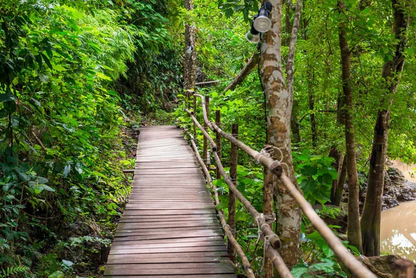 Sceniczny spacer po Azji lasów wzdłuż drewniany most — Zdjęcie stockowe