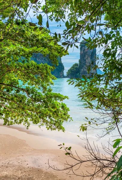 Plaj ve Andaman c kayada ağacına aracılığıyla görüntülemek — Stok fotoğraf