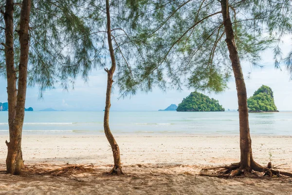 Ağaçlar ile boş kumlu plaj deniz manzaralı Tayland — Stok fotoğraf