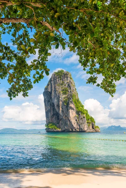 Vista de una roca en el mar desde debajo del follaje de un árbol en Po — Foto de Stock
