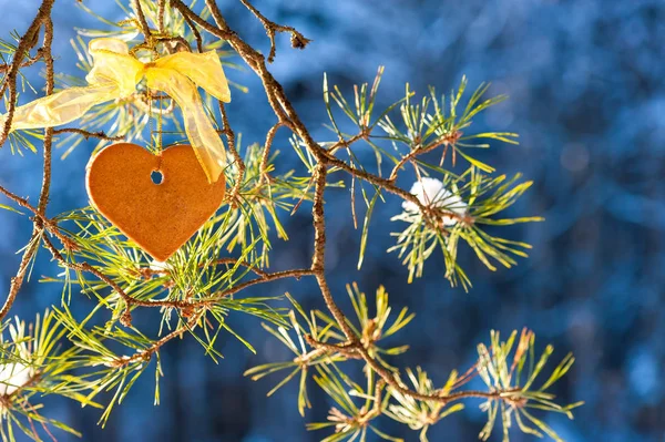 Feestelijke gember koekjes in de vorm van een hart siert een pine — Stockfoto