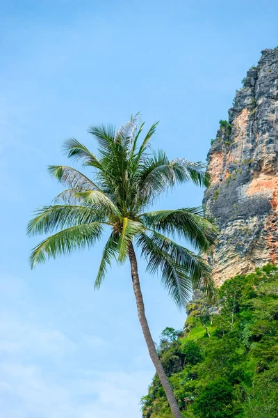 Palma e rocha contra o céu azul na Tailândia — Fotografia de Stock