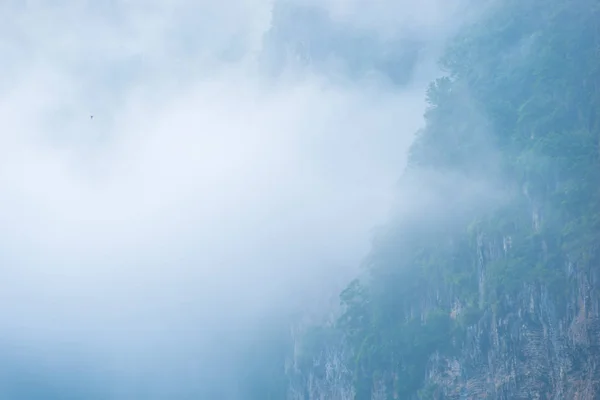 Thick fog covers mountain forests in Thailand — Stock Photo, Image