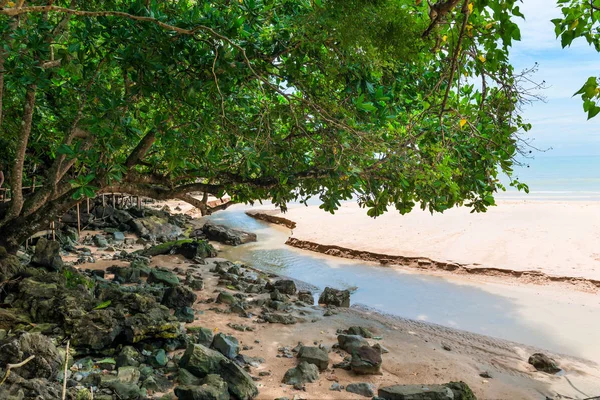 A sandy beach washed by the water of a river that flows into the — Stock Photo, Image