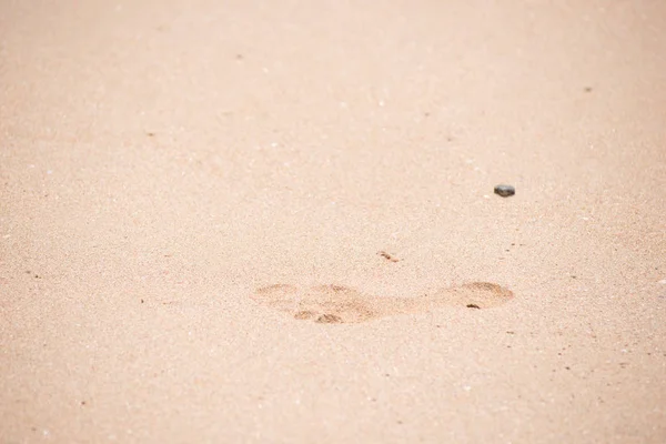 Huella desnuda primer plano en la arena mojada en la playa —  Fotos de Stock