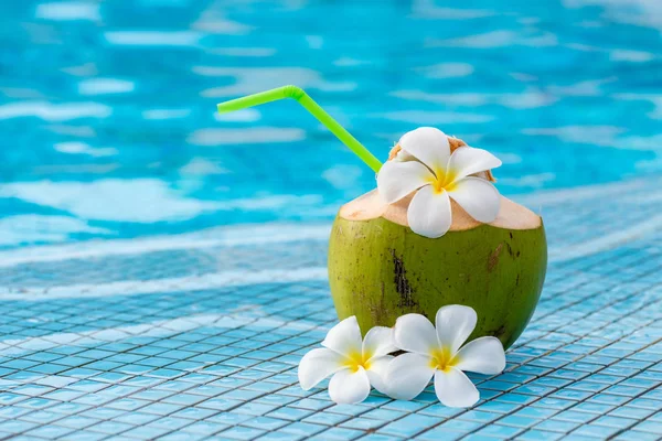 Coco y flores de fontanería en el borde de la piscina —  Fotos de Stock