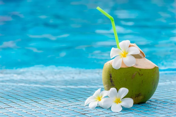 One coconut with straw and white flowers frangipani on the edge — Stock Photo, Image