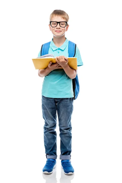 Scolaro con gli occhiali con un libro su sfondo bianco — Foto Stock