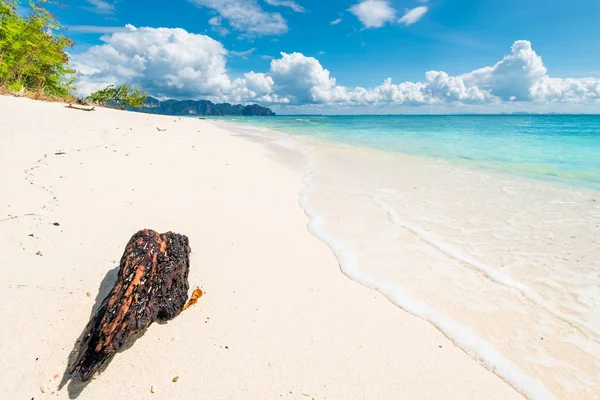 Registro en la arena blanca cerca del mar, vista de la isla de Poda en un d soleado — Foto de Stock