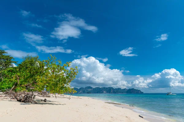Árbol solitario y playa vacía en Poda Island, Tailandia — Foto de Stock