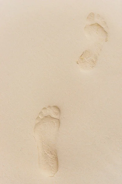 Ovanifrån av fotspår på våt sand närbild — Stockfoto