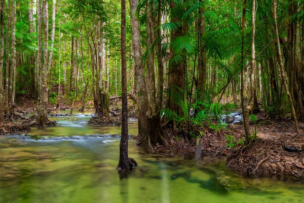 Shady jungle with a beautiful clean river in Thailand — Stock Photo, Image