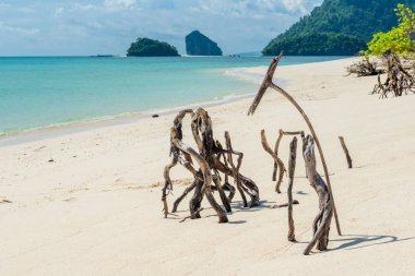 Kuru eski dalgaların karaya attığı odun kumlu plaj Poda Island, Tayland tarihinde