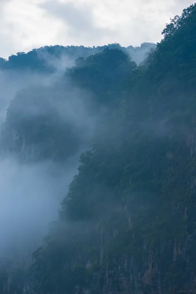 The cliffs covered with forests are shrouded in thick white fog — Stock Photo, Image