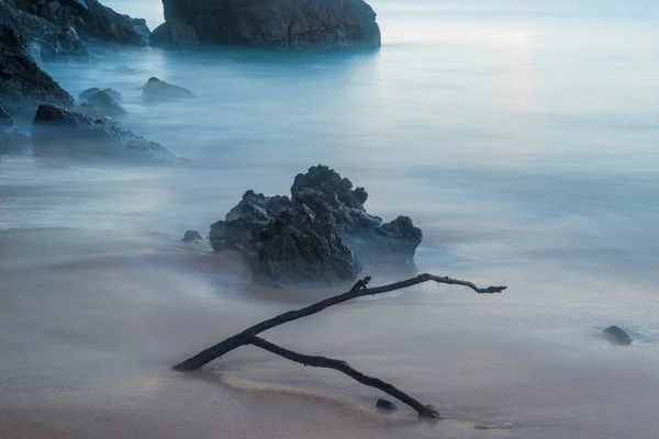 On the beach log and cobblestone at dawn dark photo — Stock Photo, Image