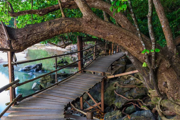 Drewniana ścieżka w dżungli Tajlandii, w pobliżu morza — Zdjęcie stockowe