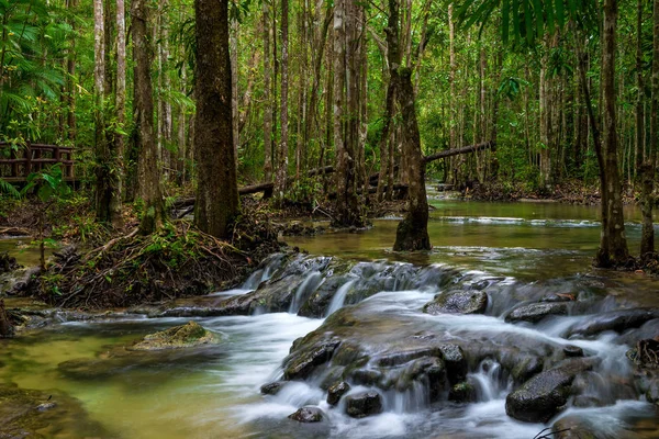 Dense Thai jungle with the current river - a beautiful landscape — Stock Photo, Image