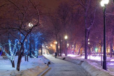Aralık ile şehrin merkezinde kışın güzel şehir parkı