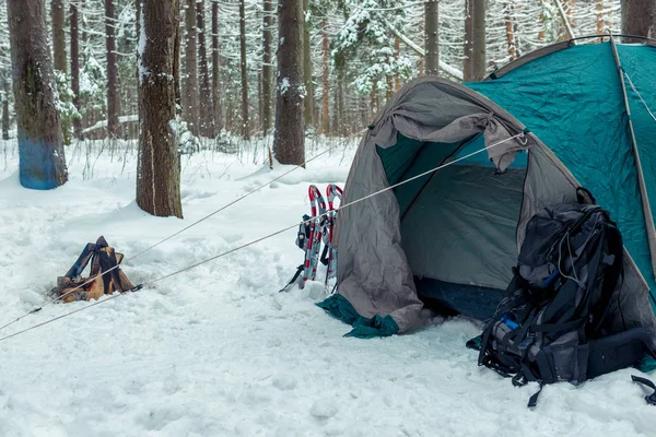 hiking tent in the early morning in the winter forest, people in