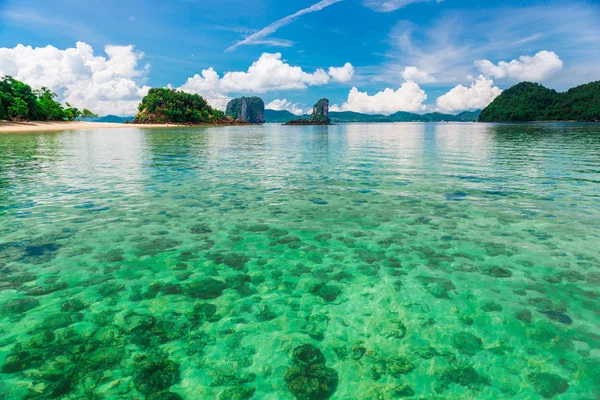 O fundo do coral pode ser visto através da água clara clara do mar, Tayland ' — Fotografia de Stock