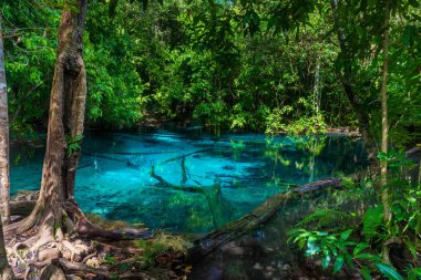 Krabi Tayland jungle pitoresk bir Mavi Göl