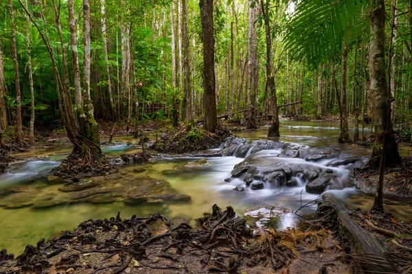 The threshold of the river in the shady Thai jungle - a beautifu — Stock Photo, Image
