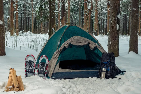 Sneeuwschoenen in de buurt van een groene tent in een winter forest — Stockfoto