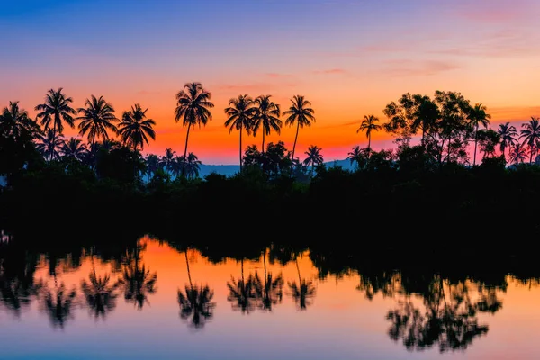 Sagome di palme all'alba vicino a un lago. Colorato . — Foto Stock