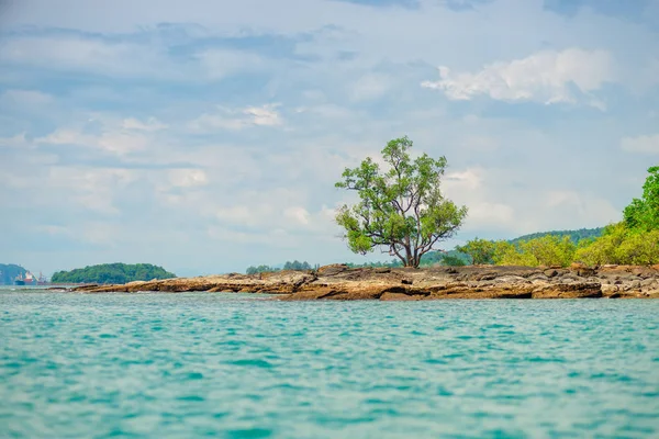 南国の無人島の無人岩ビーチの木 — ストック写真