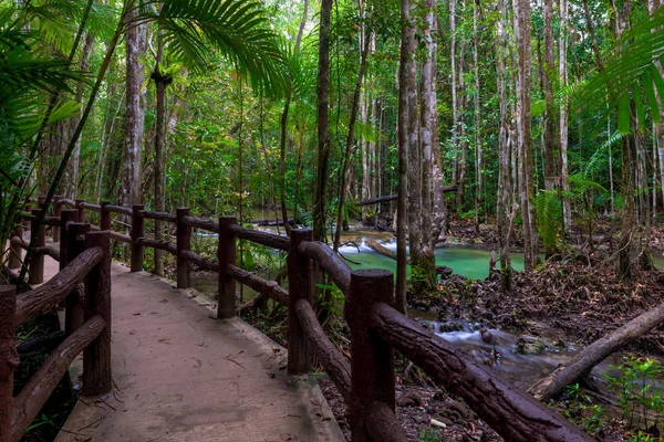 Масивні паркан на туристичний шлях в красивий ліс Thail — стокове фото
