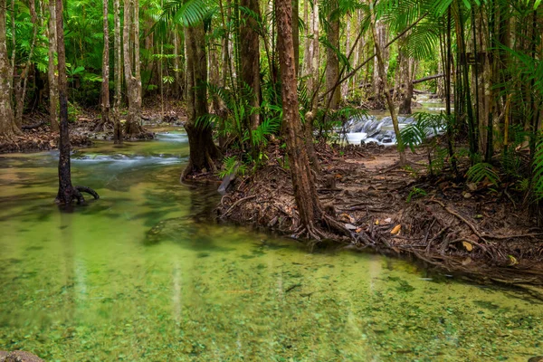 A clean river flowing in the jungle of Thailand in Krabi provinc — Stock Photo, Image