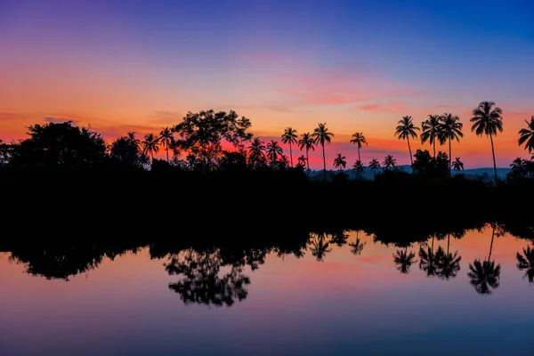 Siluetas de palmeras al amanecer cerca de un lago. Teñido . — Foto de Stock