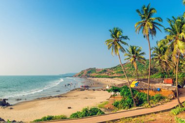 Okyanus ve Goa'da kumlu plaj sakin. Renkli.