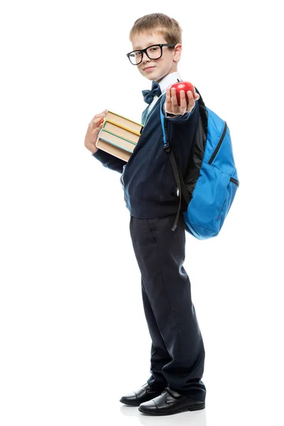 Portret van een schooljongen in volle lengte op een witte achtergrond, in — Stockfoto