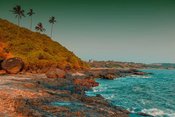 Rotsachtige kust en kokospalmen. tropisch strand. Getint. — Stockfoto
