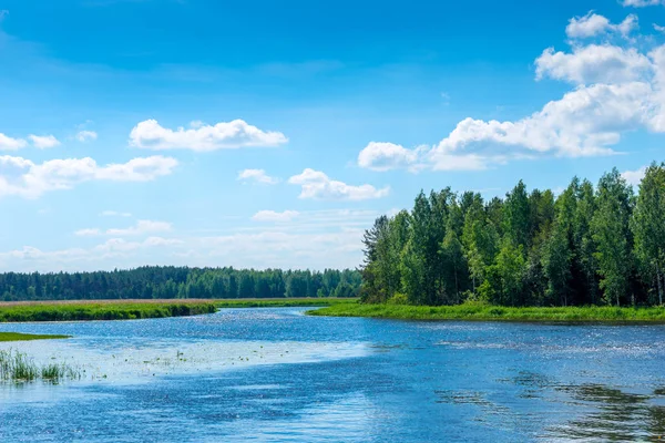 Hermoso paisaje en un día soleado - un río en el campo — Foto de Stock