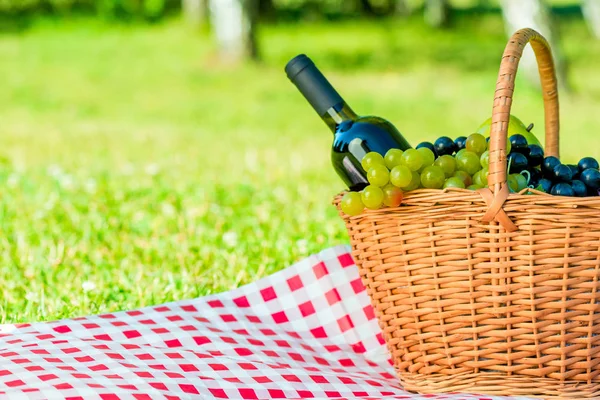 Sepet üzüm ve bir şişe şarap ve yazma için alan ve — Stok fotoğraf