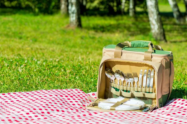 Thermal bag with a set of dishes on a checkered tablecloth on a — Stock Photo, Image