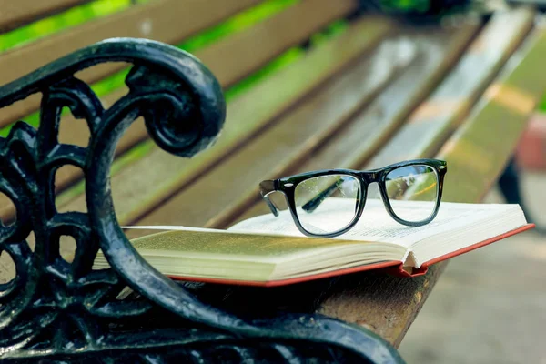 Ein aufgeschlagenes Buch und eine Brille liegen am Rand einer Bank im Park — Stockfoto