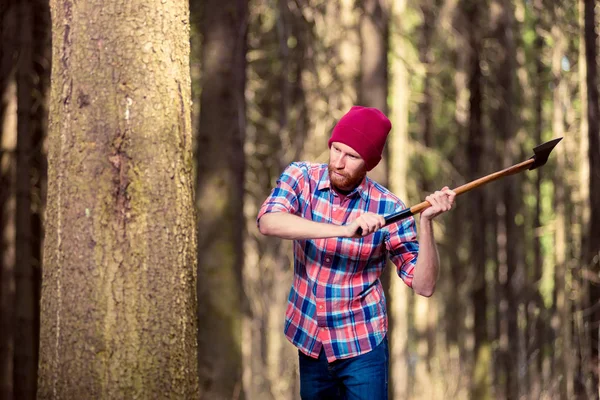 Holzfäller mit Axt hackt Baum in den Wald — Stockfoto