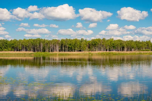 Mooie zomerse landschap van Rusland - berkenbomen aan de oever — Stockfoto